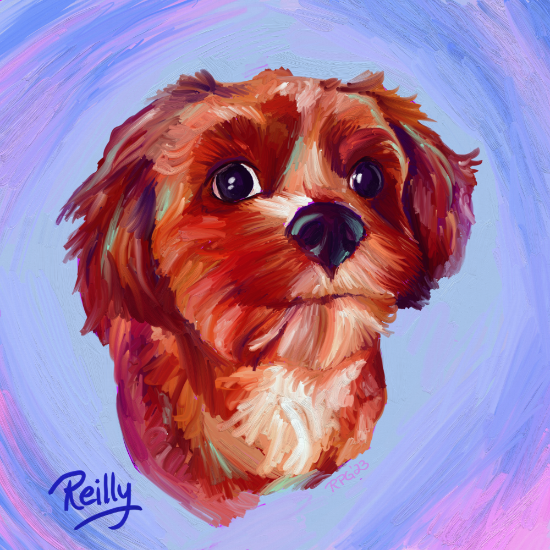 bright color dog portrait